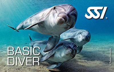 ssi-Basic Diver
