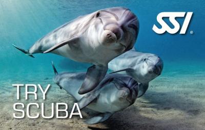 ssi-try scuba